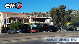 Our Client Testimonial – Garage Charbel Nasr